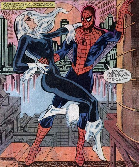 blackcat vs spiderman|black cat and spider-man married.